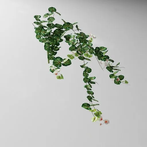 Detailed 3D model of a pink geranium plant with editable geometry nodes for Blender users.