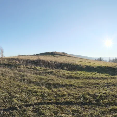 Autumn Hilly Field