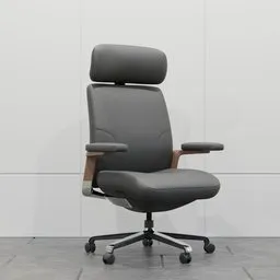 Executive Ergonomic Office Chair