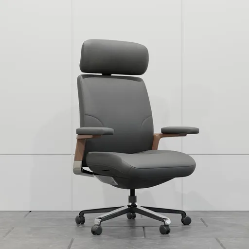 Executive Ergonomic Office Chair