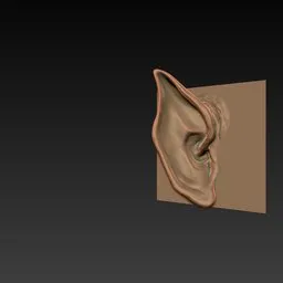 ER Ear Brush 26 demonstrating detailed ear sculpting for 3D modeling in Blender, ideal for creature design.