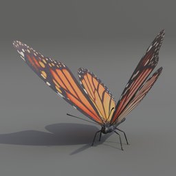 Butterfly (Rigged)