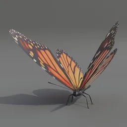 "Rigged Butterfly 3D Model for Blender 3D - Insect Category"