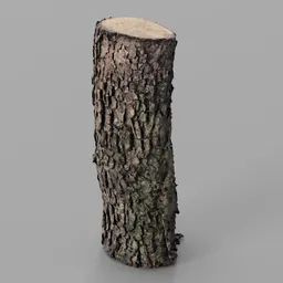 Oak Log remeshed photoscan