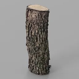 Oak Log remeshed photoscan