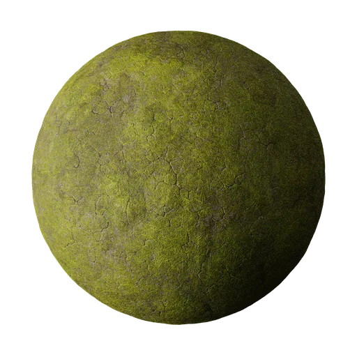 Ground with grass