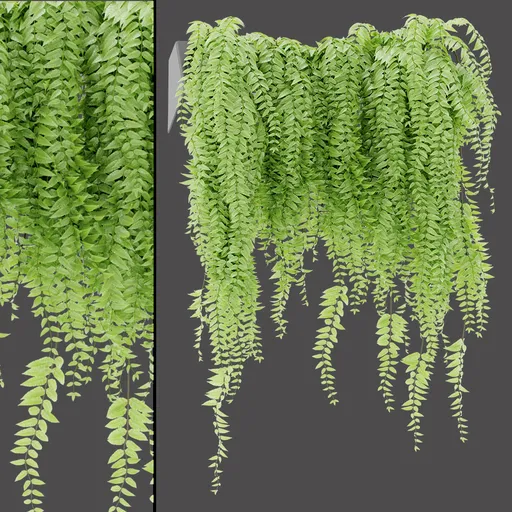 Natural Hanging Vines