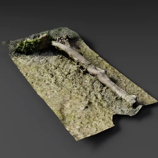 Fallen Tree Branch Scan | FREE Trees models | Blendkit