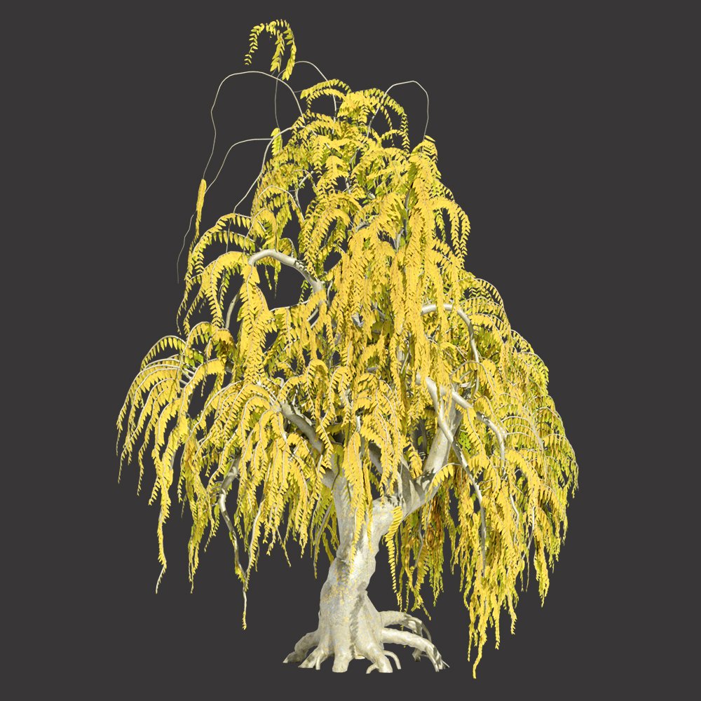 Willow Tree | FREE Trees models | Blendkit