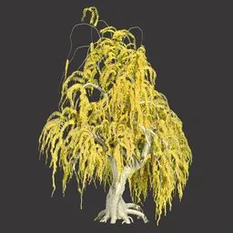 Willow Tree