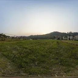 Grassland at sunset