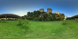 Green grass open space