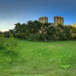 Green grass open space