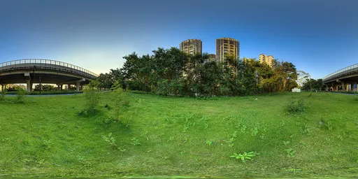 Green grass open space