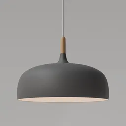 Organic-contoured Acorn Pendant Lamp 3D model with a tapered top, suspended by a silk cord, for Blender rendering.