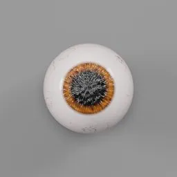 Brown Eyeball