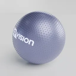 Fitness Sensory Gym Ball