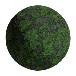 Moss