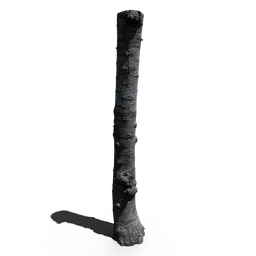 Small Tree Trunk