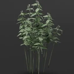 Highly detailed 3D nettle bush model optimized for Blender, ideal for adding realism to digital environments.