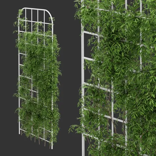 Grid Ivy Simple Plant