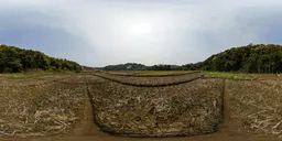 Dry land in the morning