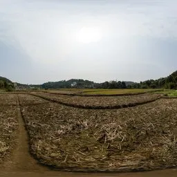 Dry land in the morning