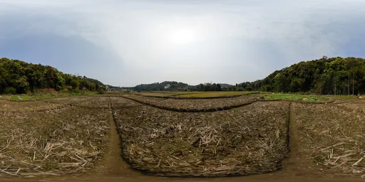 Dry land in the morning