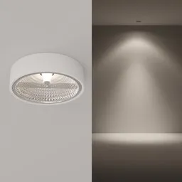 Ceiling spotlight