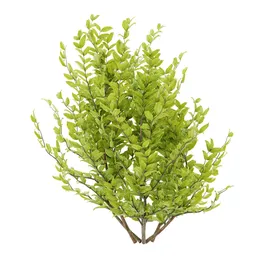 Simple bush plant