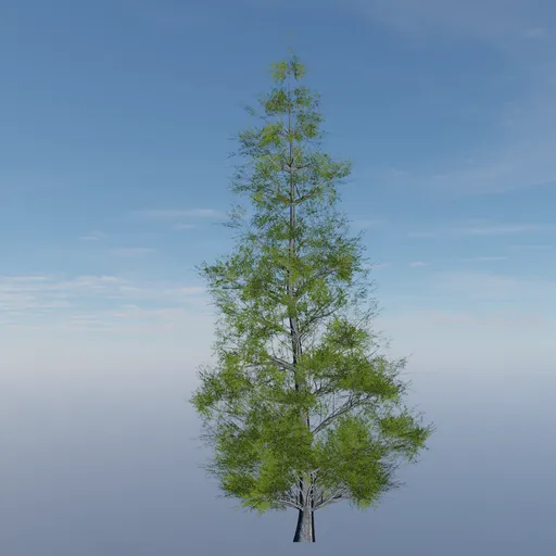 Evergreen Tree Alpha Plane 3
