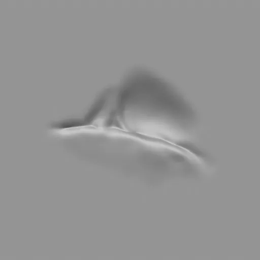 ER_Muscle brush 61