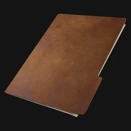 Manilla Folder with Documents Flat