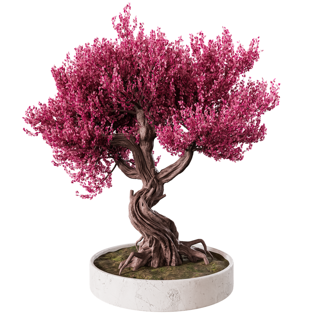Pink Bonsai Trees models BlenderKit
