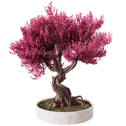 Pink Bonsai