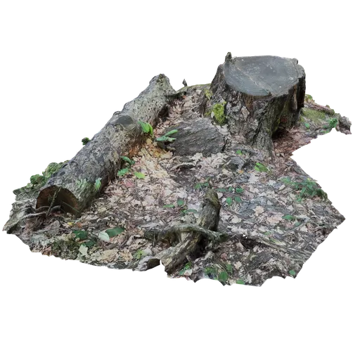Realistic high-detail 3D model of a tree stump and log for Blender, perfect for digital forest scenes.