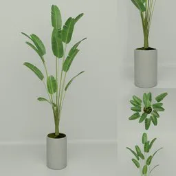 3D model of a potted indoor plant with lush green foliage, designed for Blender rendering and 3D visualization.