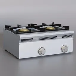 Professional Double Gas Stove