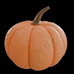 Ripe Autumn Pumpkin