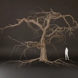 SJ-Tree Without Leaves 3D
