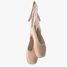 Ballet Shoes - Hanging