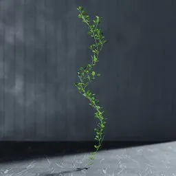 Realistic Blender 3D ivy model with editable stem, created using Bagapie addon geometry nodes.