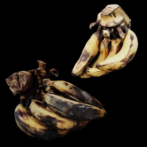 Oerripe Banana Bunch