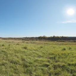 Autumn Field