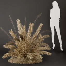 SJ- Pampas Soft Horizon Bush