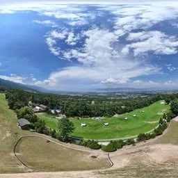 Green forest grass cloud