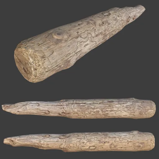 Wood Log