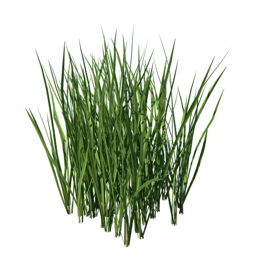Realistic 3D grass model with detailed textures, optimized for Blender rendering.