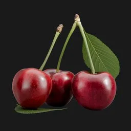 Three Fresh Cherries with Leaves