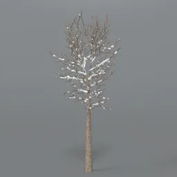 Tree With Snow